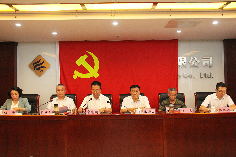 xingcai.com党委召开学习贯彻习近平新时代中国特色社会主义思想主题教育总结会